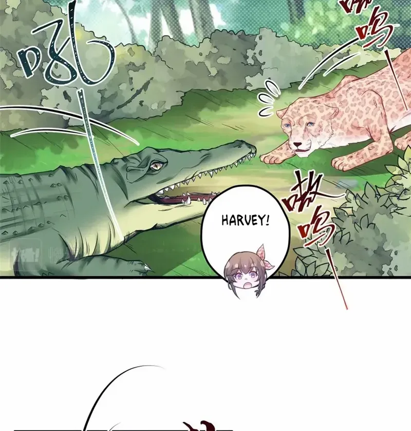 Beauty and the Beasts Zinmanga X Chapter 400 Page 15