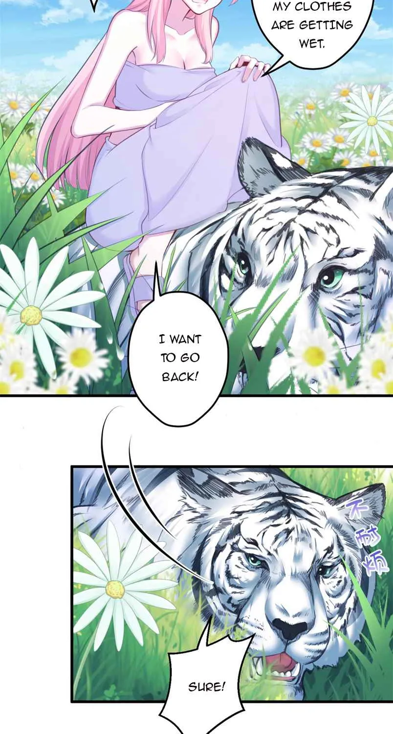 Beauty and the Beasts Zinmanga X Chapter 354 Page 8