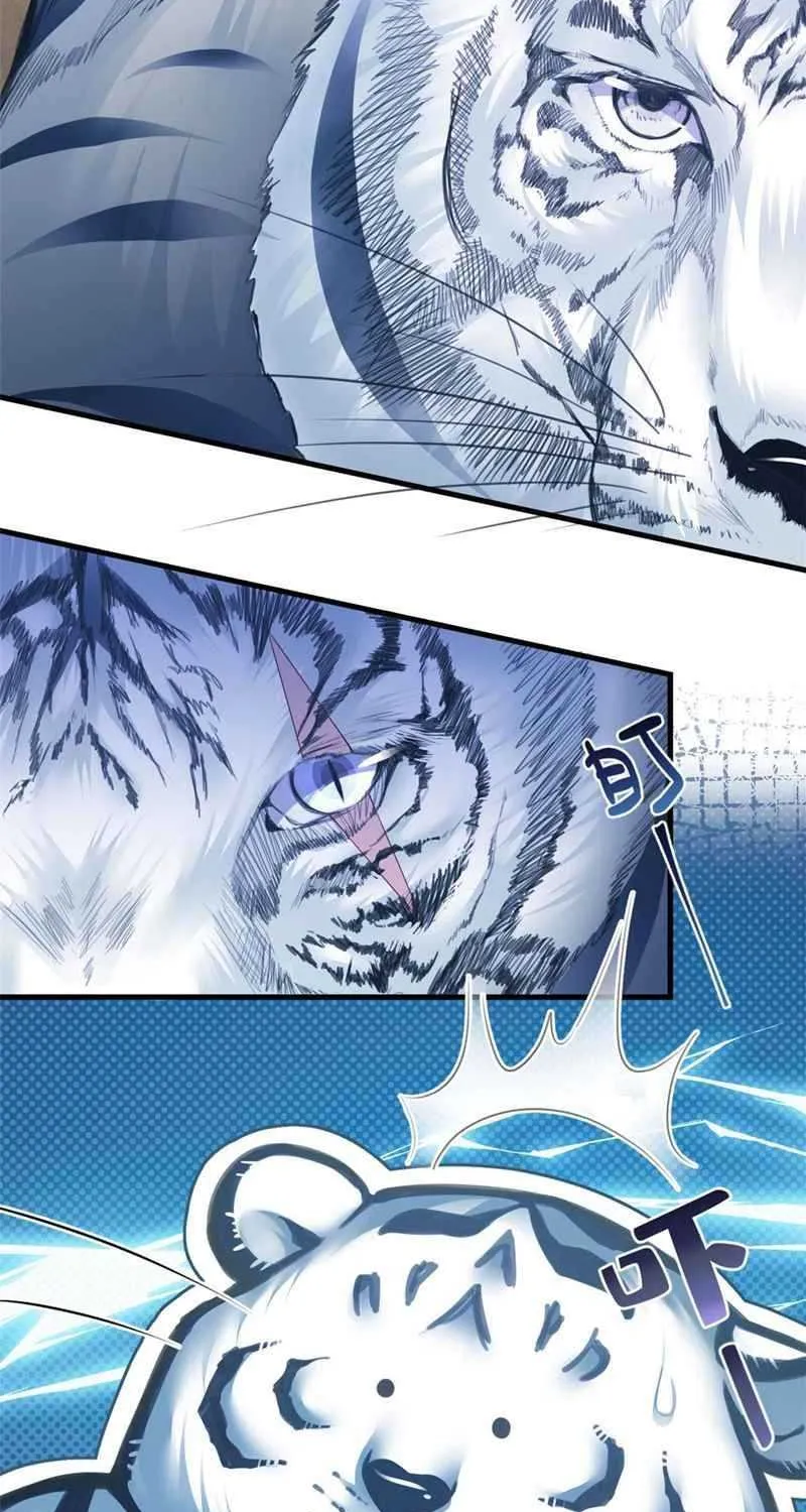 Beauty and the Beasts Zinmanga X Chapter 348 Page 32