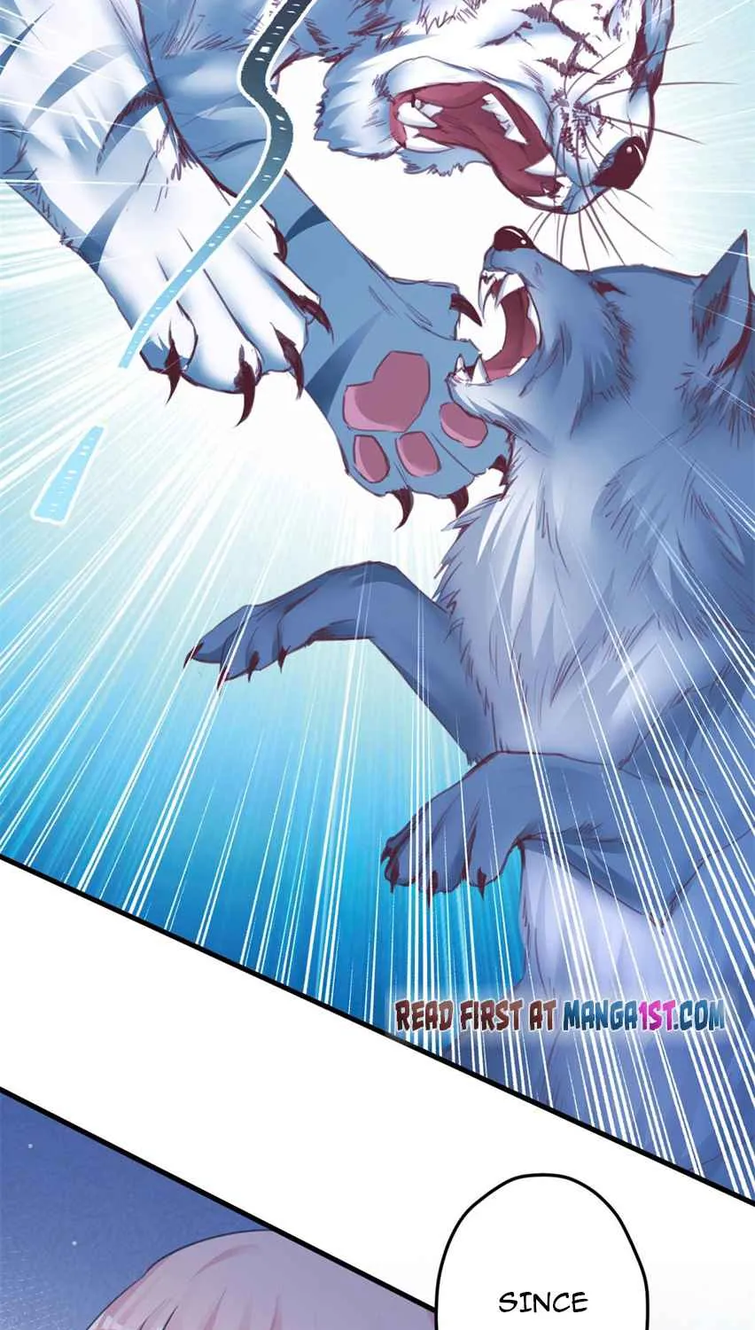 Beauty and the Beasts Zinmanga X Chapter 332 Page 8