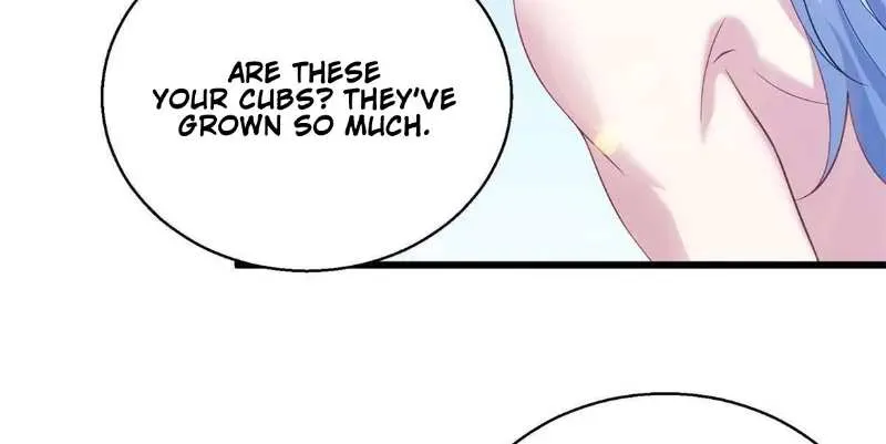 Beauty and the Beasts Zinmanga X Chapter 282 Page 5