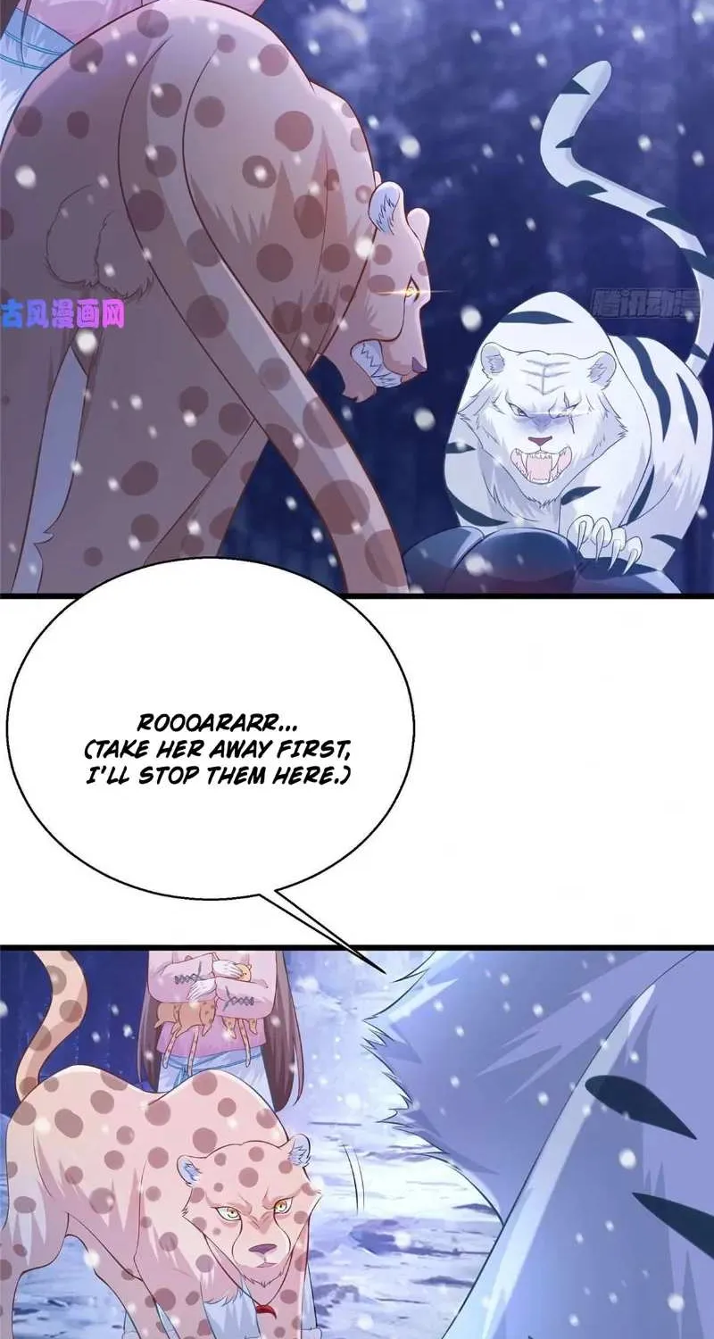 Beauty and the Beasts Zinmanga X Chapter 275 Page 2
