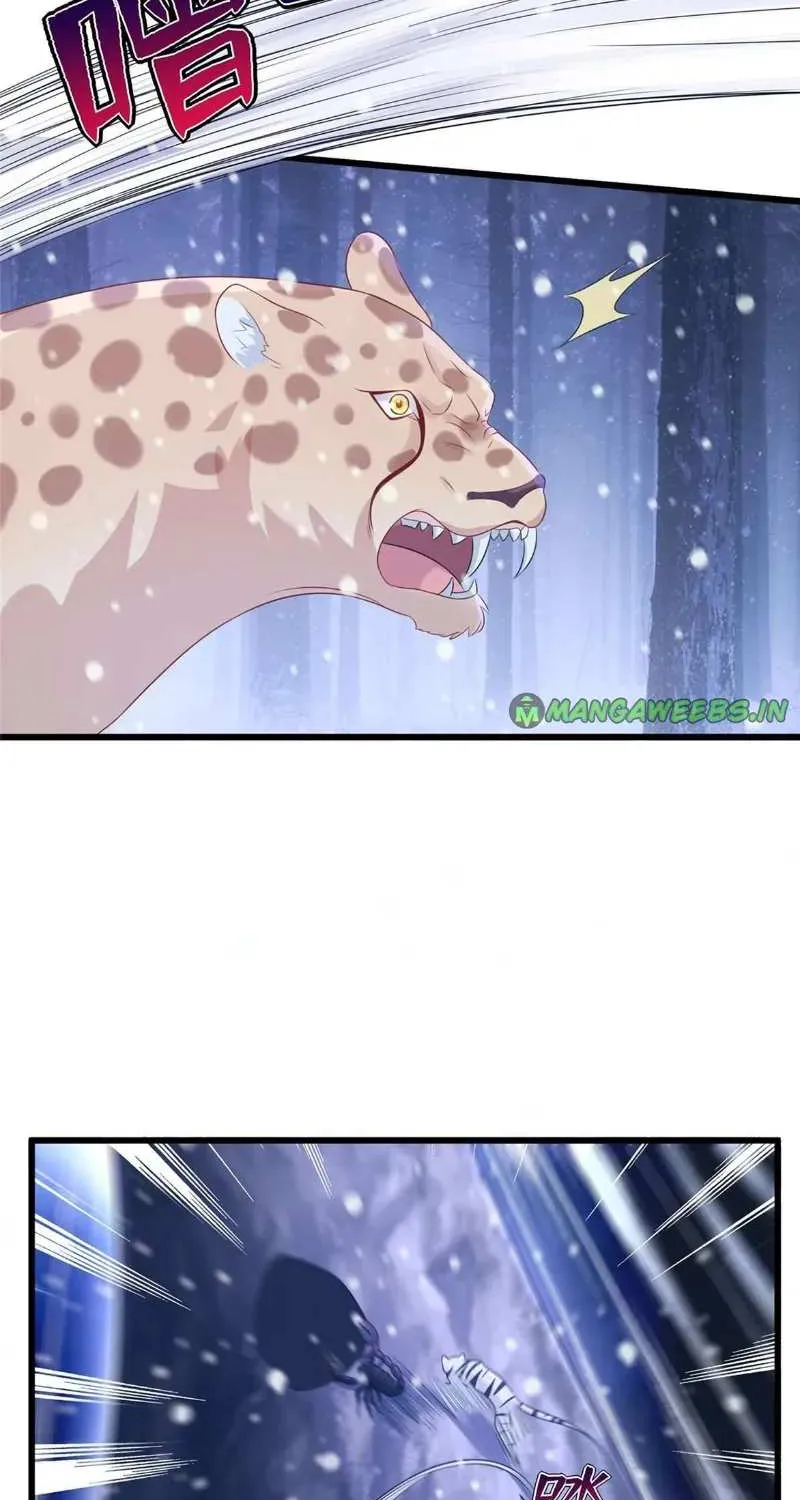 Beauty and the Beasts Zinmanga X Chapter 275 Page 23