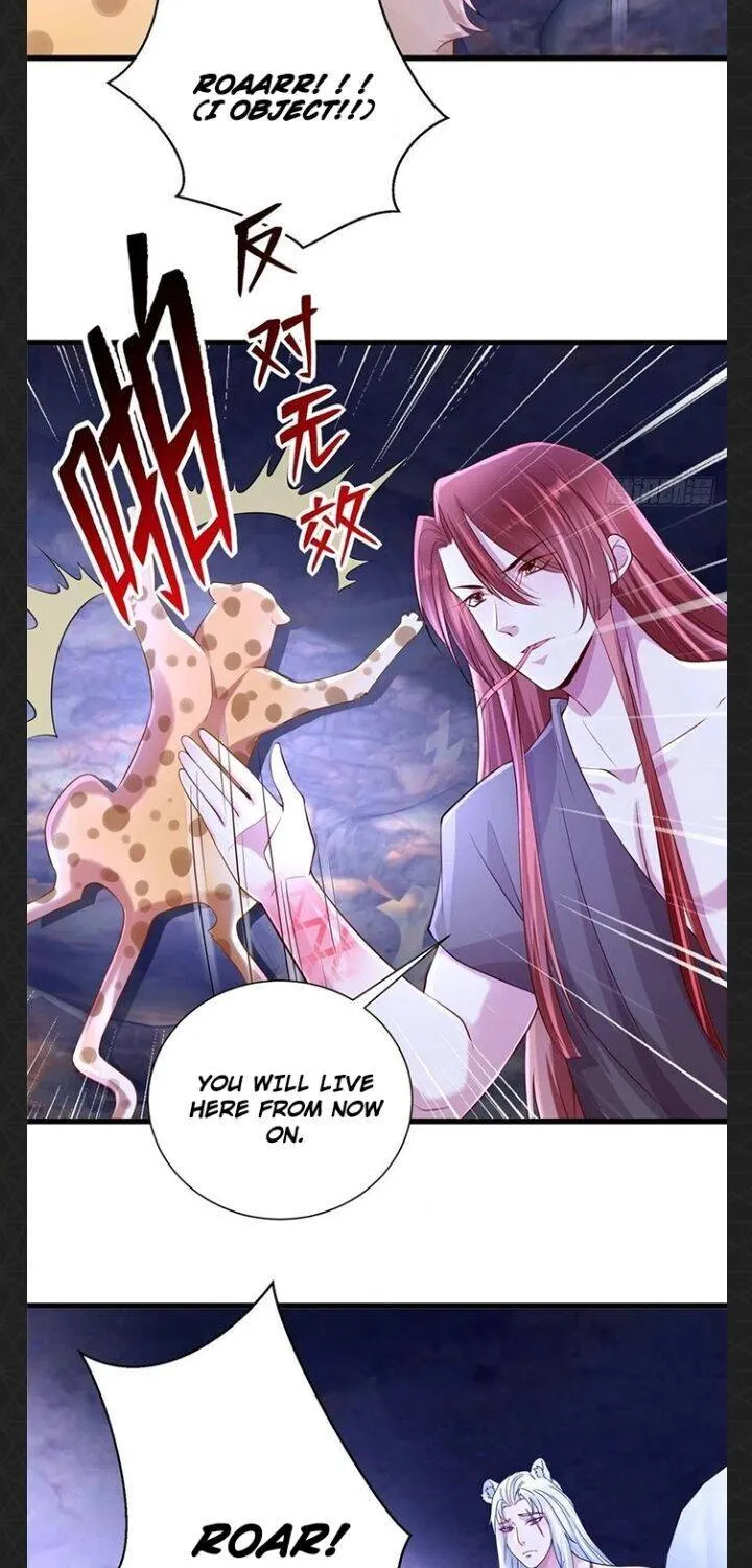 Beauty and the Beasts Zinmanga X Chapter 269 Page 6