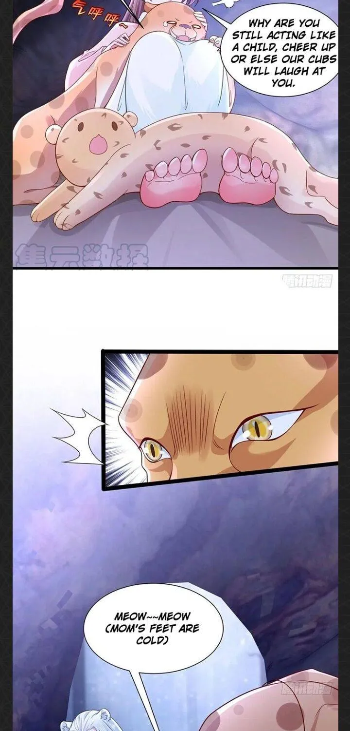 Beauty and the Beasts Zinmanga X Chapter 269 Page 8
