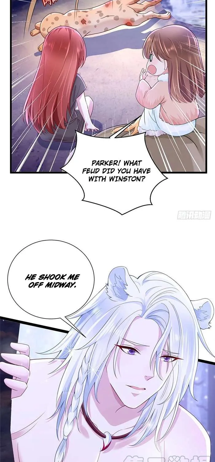 Beauty and the Beasts Zinmanga X Chapter 266 Page 29
