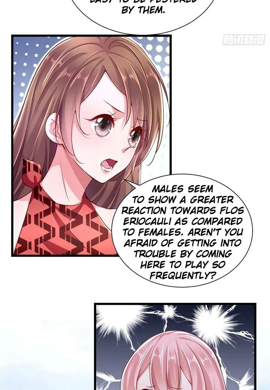 Beauty and the Beasts Zinmanga X Chapter 248 Page 18