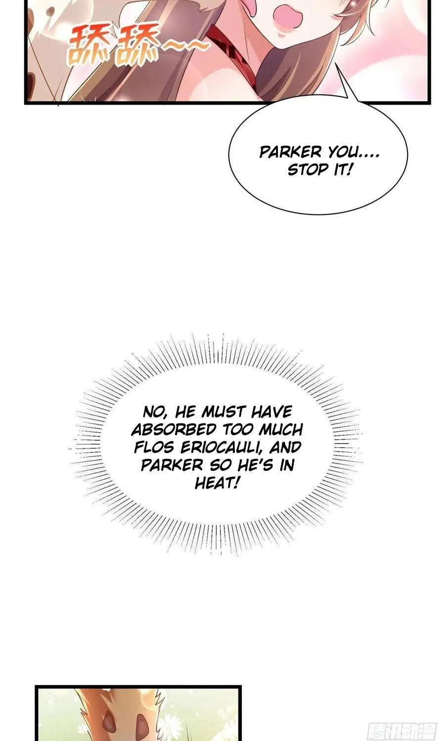 Beauty and the Beasts Zinmanga X Chapter 248 Page 31
