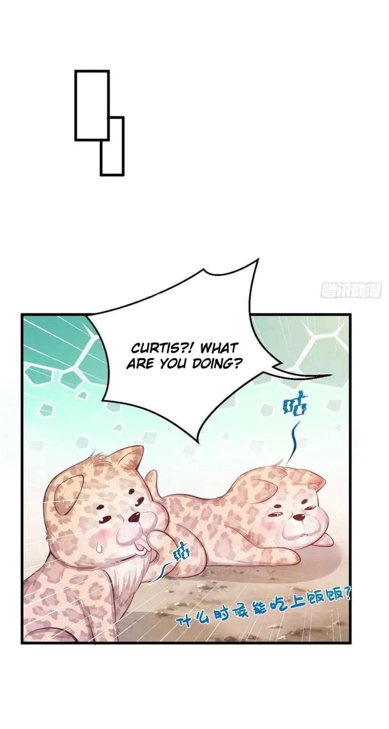 Beauty and the Beasts Zinmanga X Chapter 236 Page 5