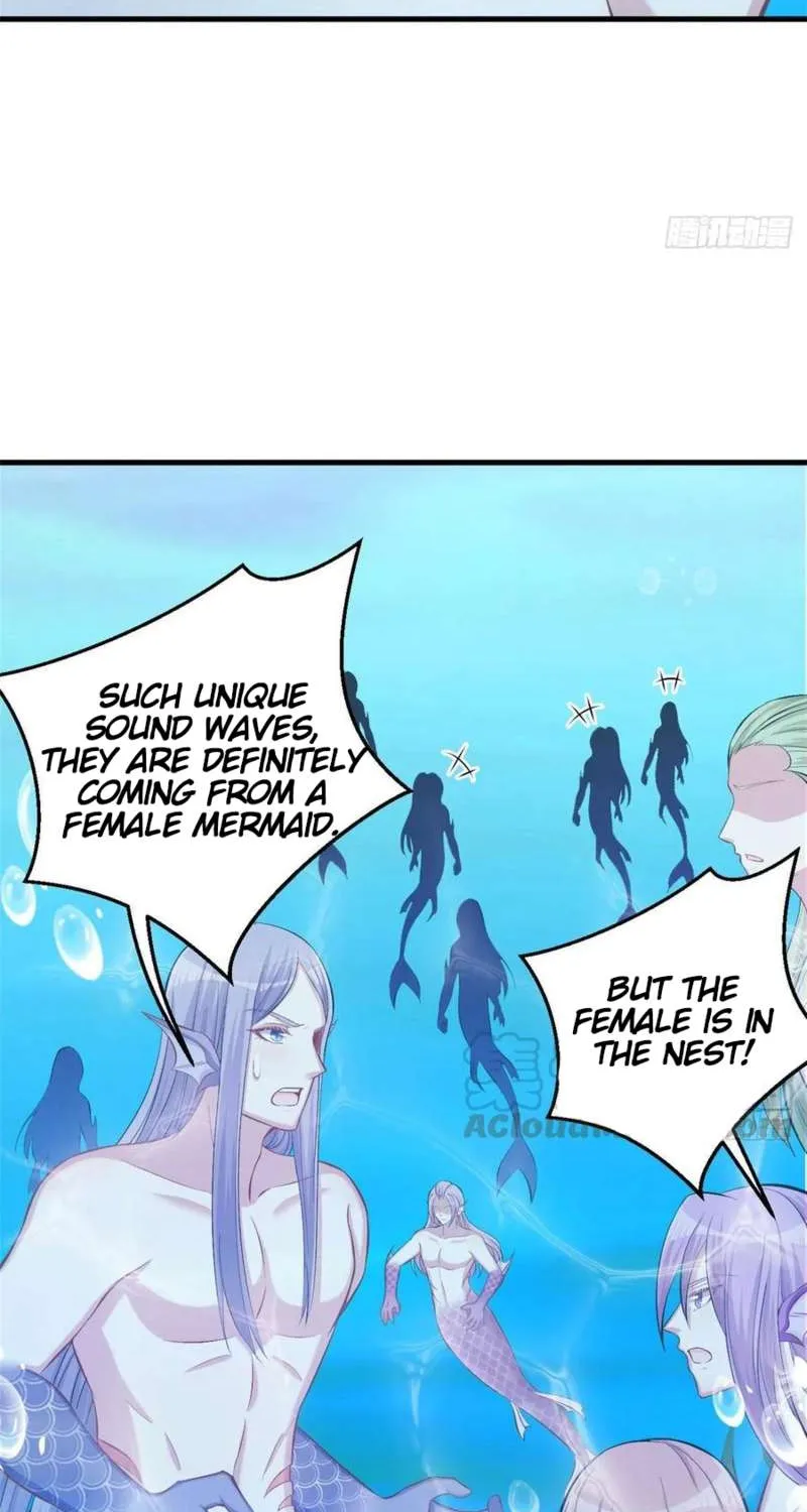 Beauty and the Beasts Zinmanga X Chapter 228 Page 27