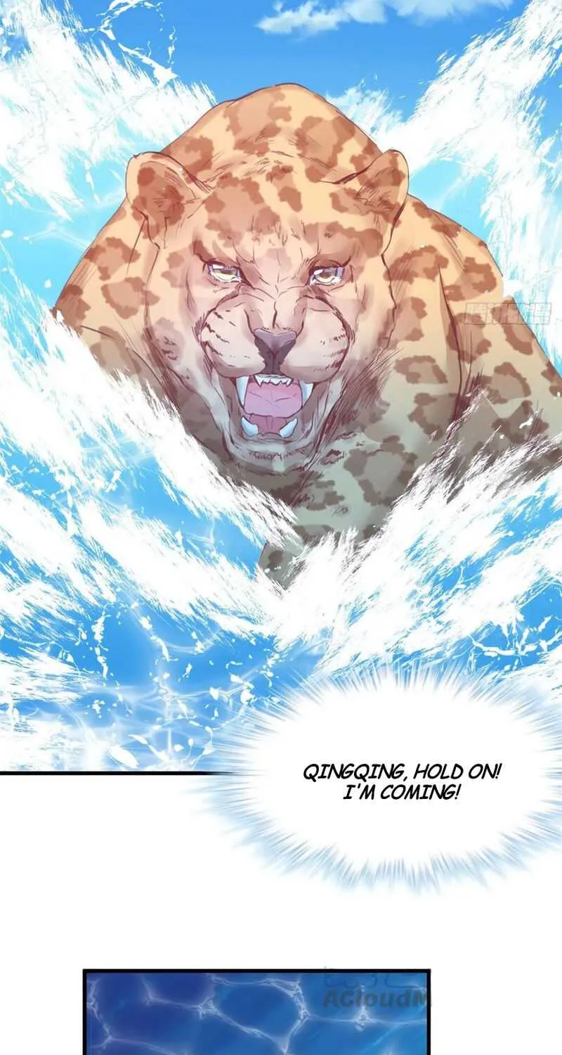 Beauty and the Beasts Zinmanga X Chapter 216 Page 13