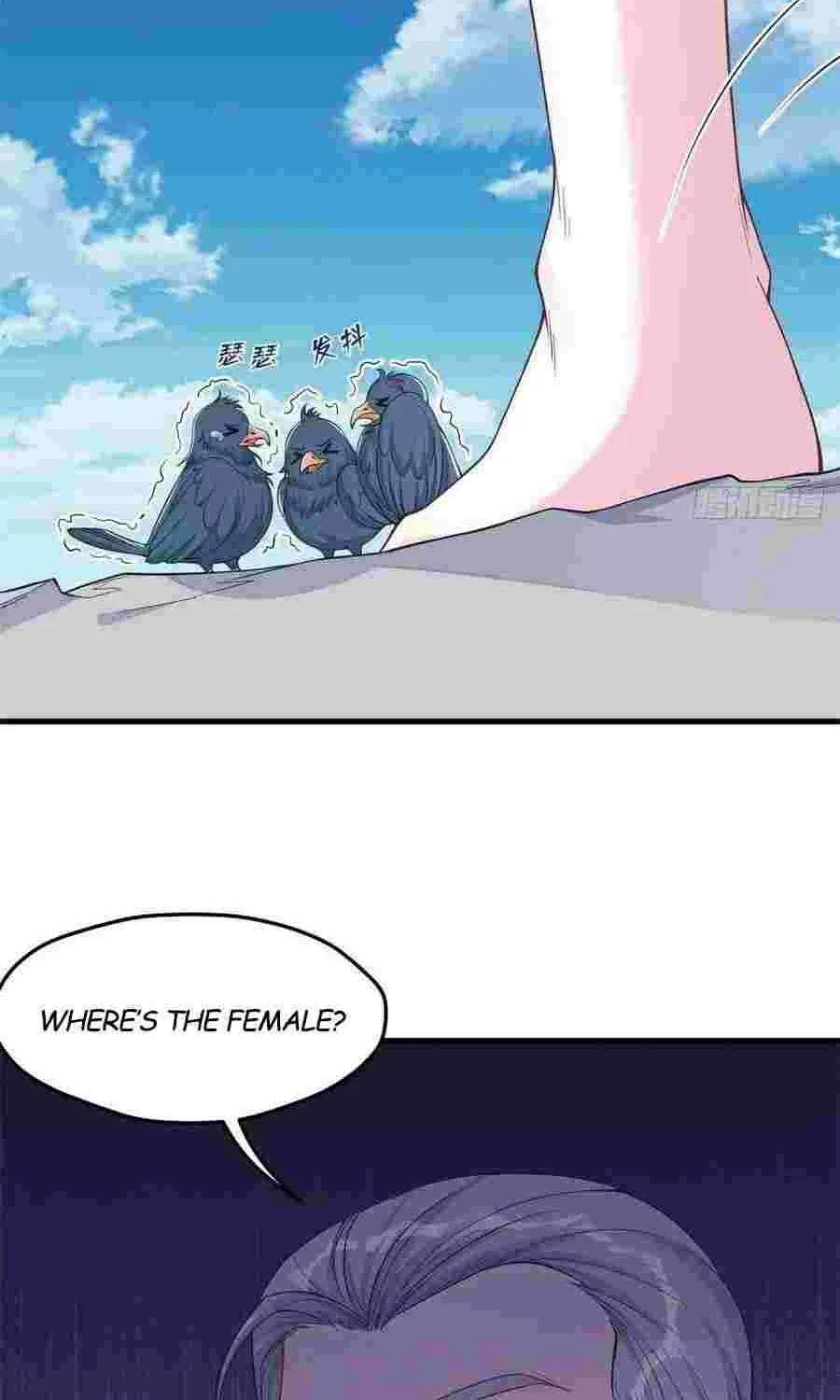 Beauty and the Beasts Zinmanga X Chapter 177 Page 4