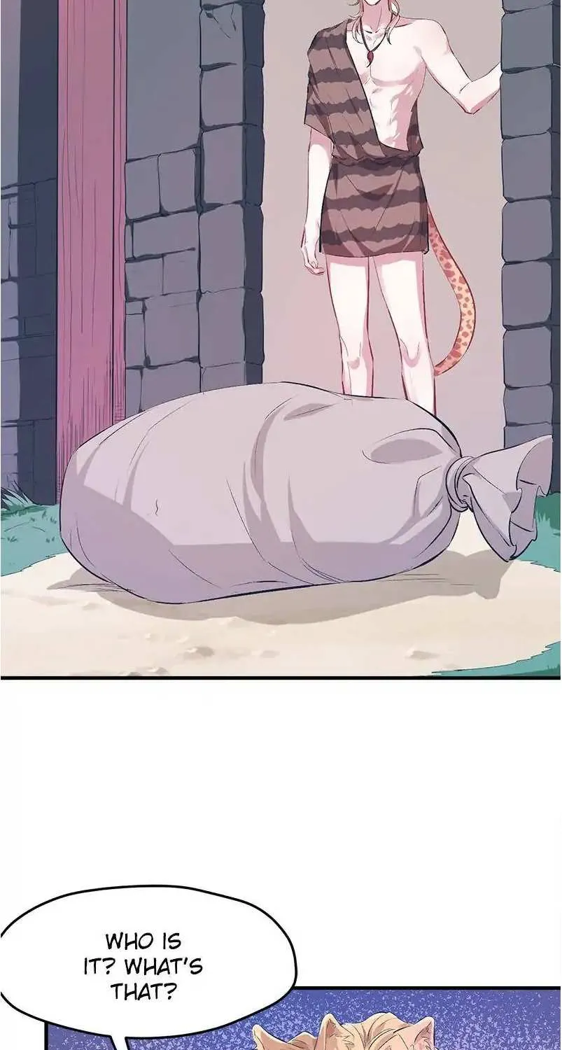 Beauty and the Beasts Zinmanga X Chapter 52 Page 3