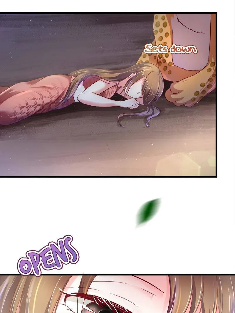 Beauty and the Beasts Zinmanga X Chapter 31 Page 3