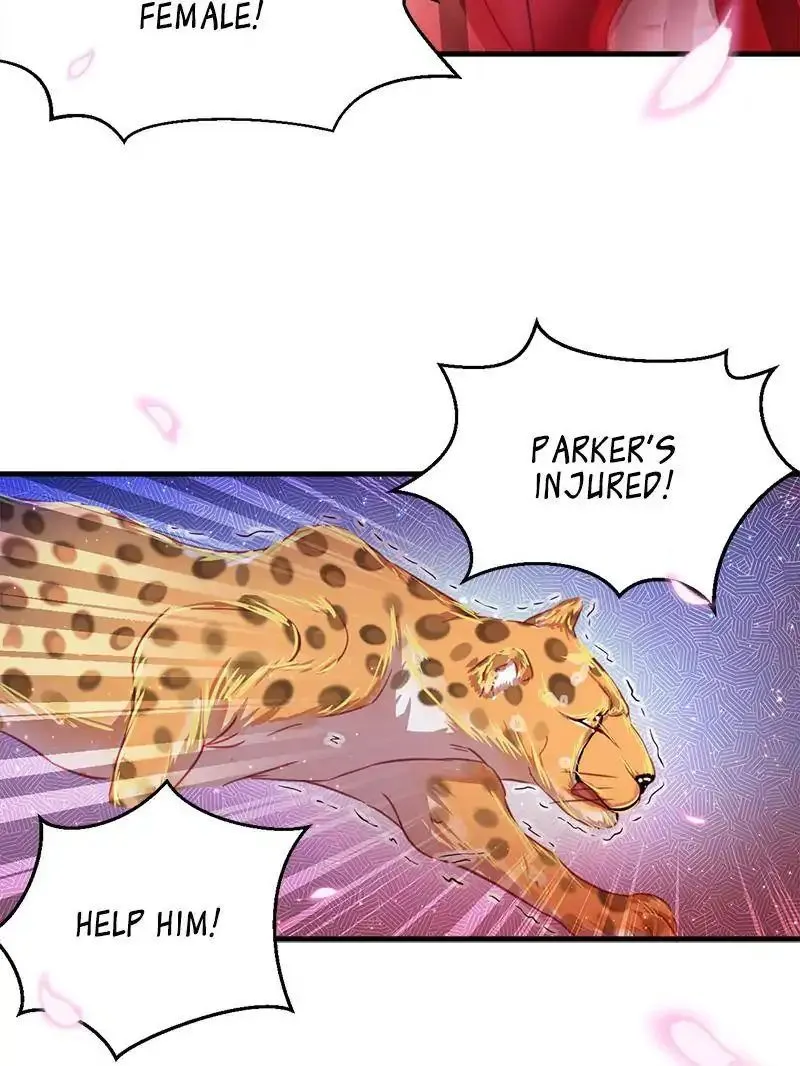 Beauty and the Beasts Zinmanga X Chapter 11 Page 41