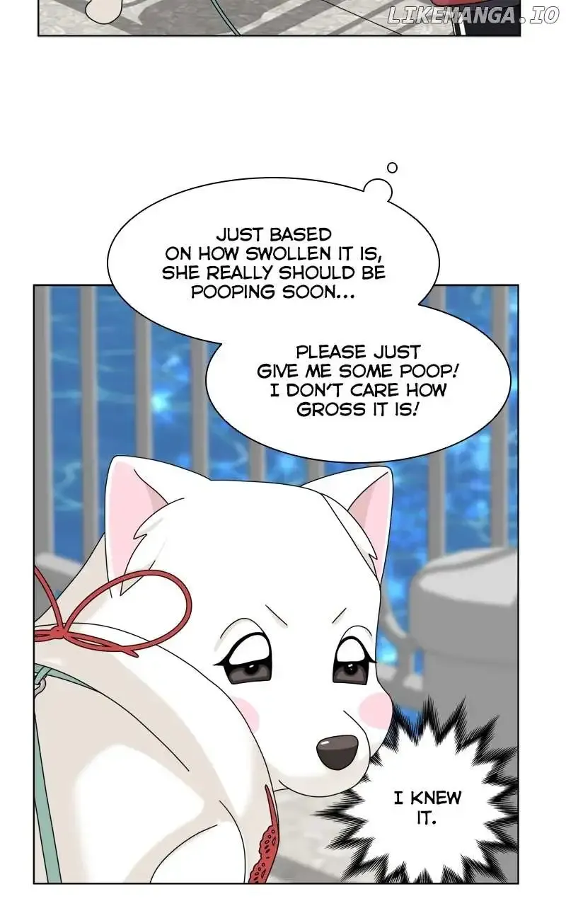 The Dog Diaries Zinmanga X Chapter 186 Page 4