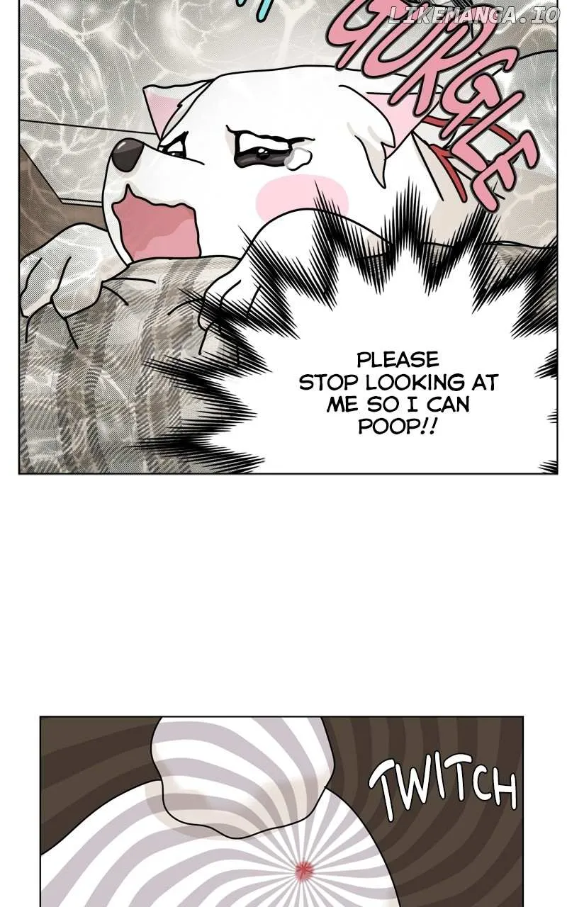 The Dog Diaries Zinmanga X Chapter 186 Page 19