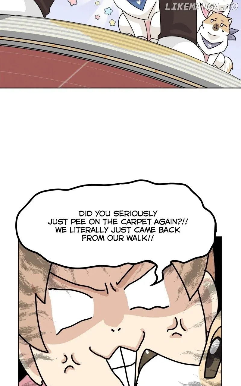 The Dog Diaries Zinmanga X Chapter 180 Page 64