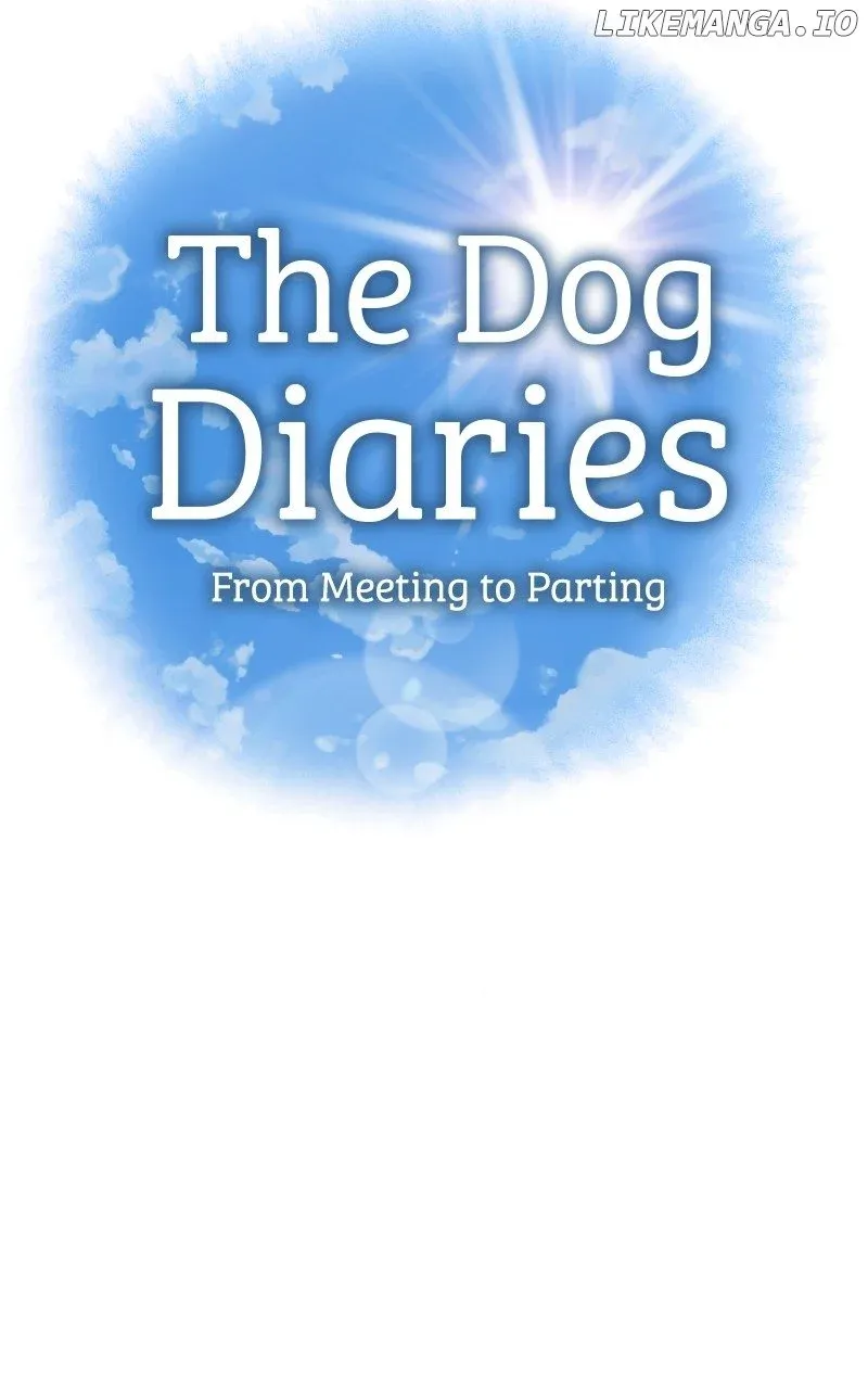 The Dog Diaries Zinmanga X Chapter 175 Page 12