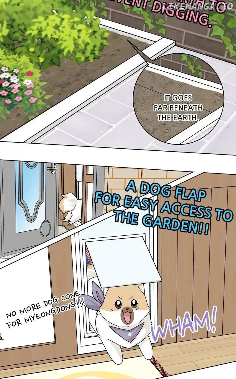 The Dog Diaries Zinmanga X Chapter 173 Page 3