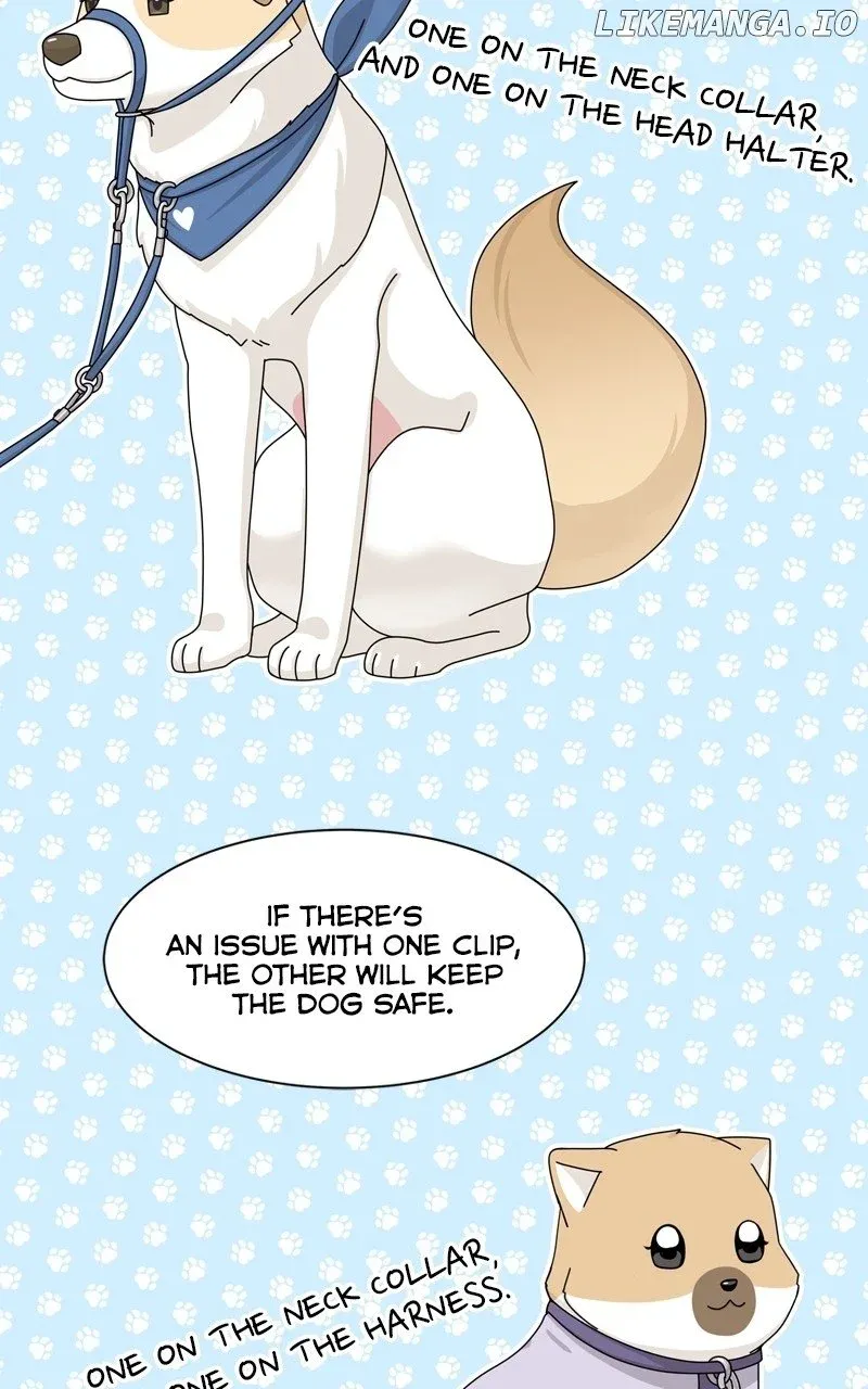 The Dog Diaries Zinmanga X Chapter 171 Page 50