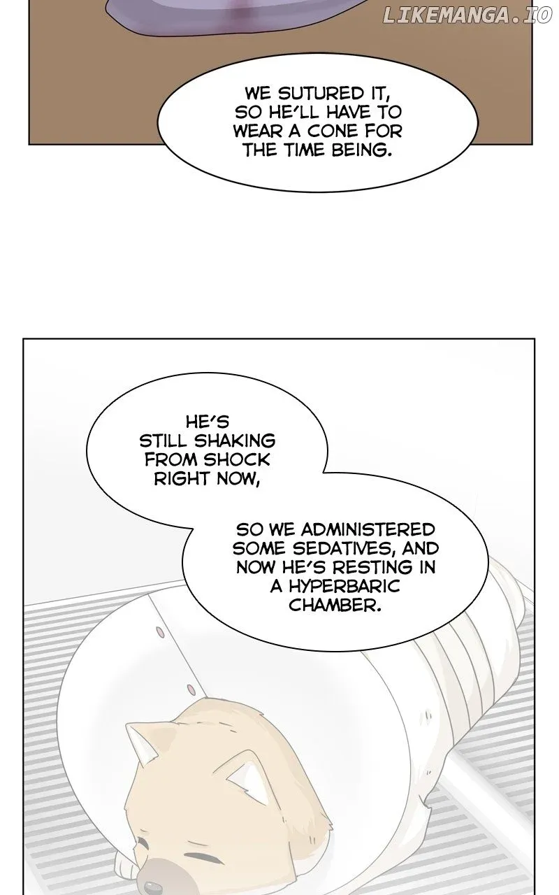 The Dog Diaries Zinmanga X Chapter 169 Page 12