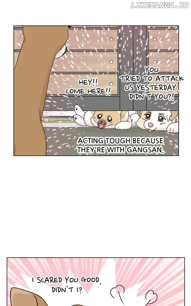 The Dog Diaries Zinmanga X Chapter 168 Page 20