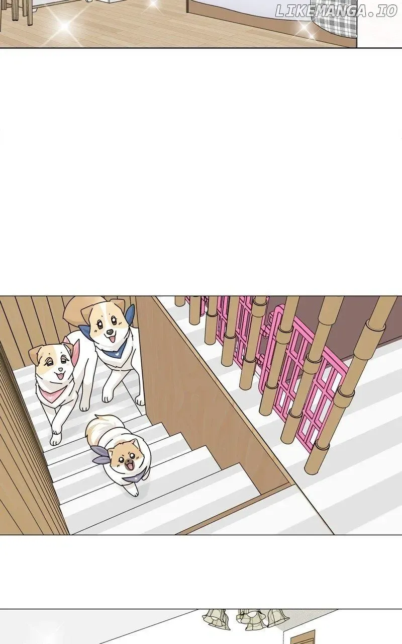The Dog Diaries Zinmanga X Chapter 165 Page 51