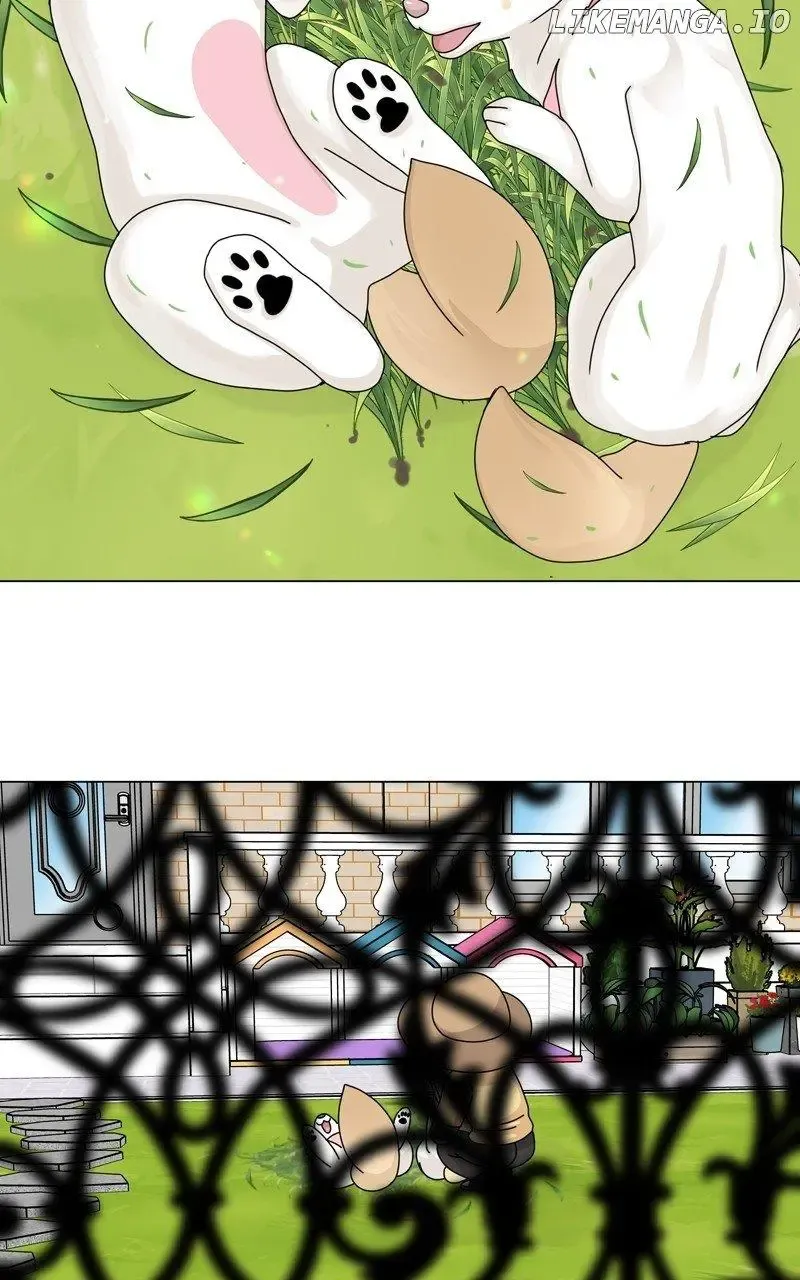 The Dog Diaries Zinmanga X Chapter 165 Page 71