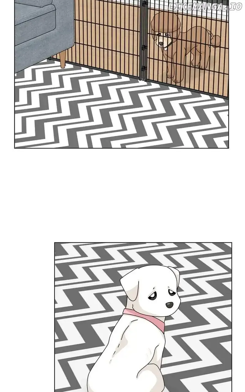 The Dog Diaries Zinmanga X Chapter 159 Page 39
