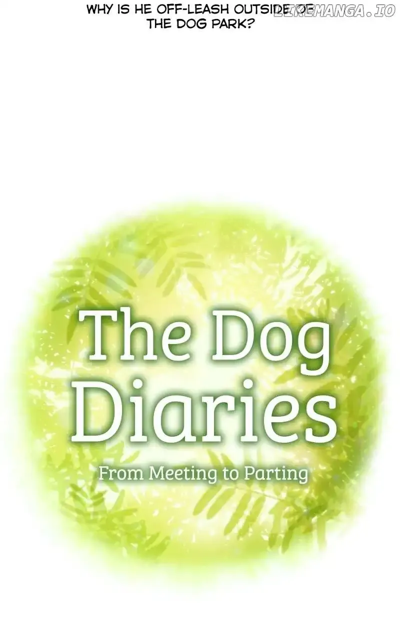 The Dog Diaries Zinmanga X Chapter 155 Page 4