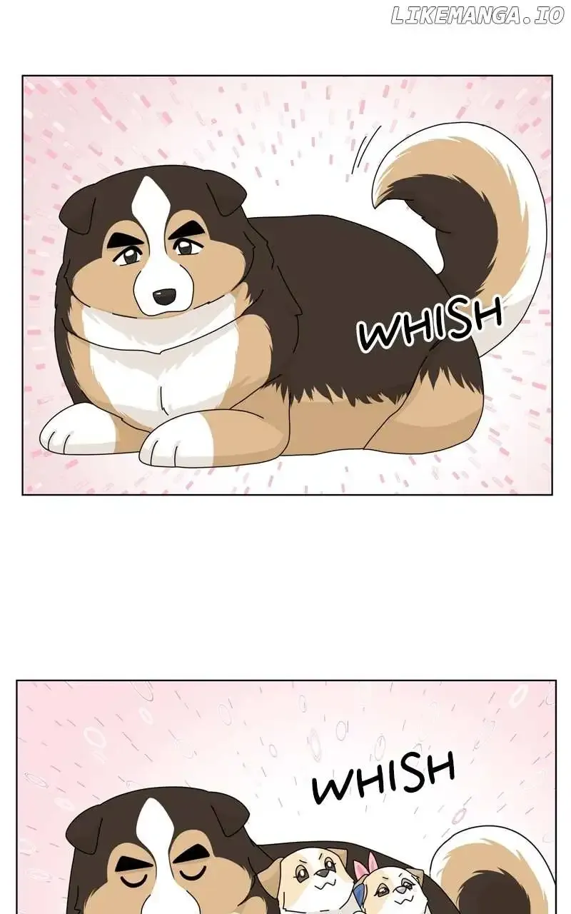 The Dog Diaries Zinmanga X Chapter 154 Page 33