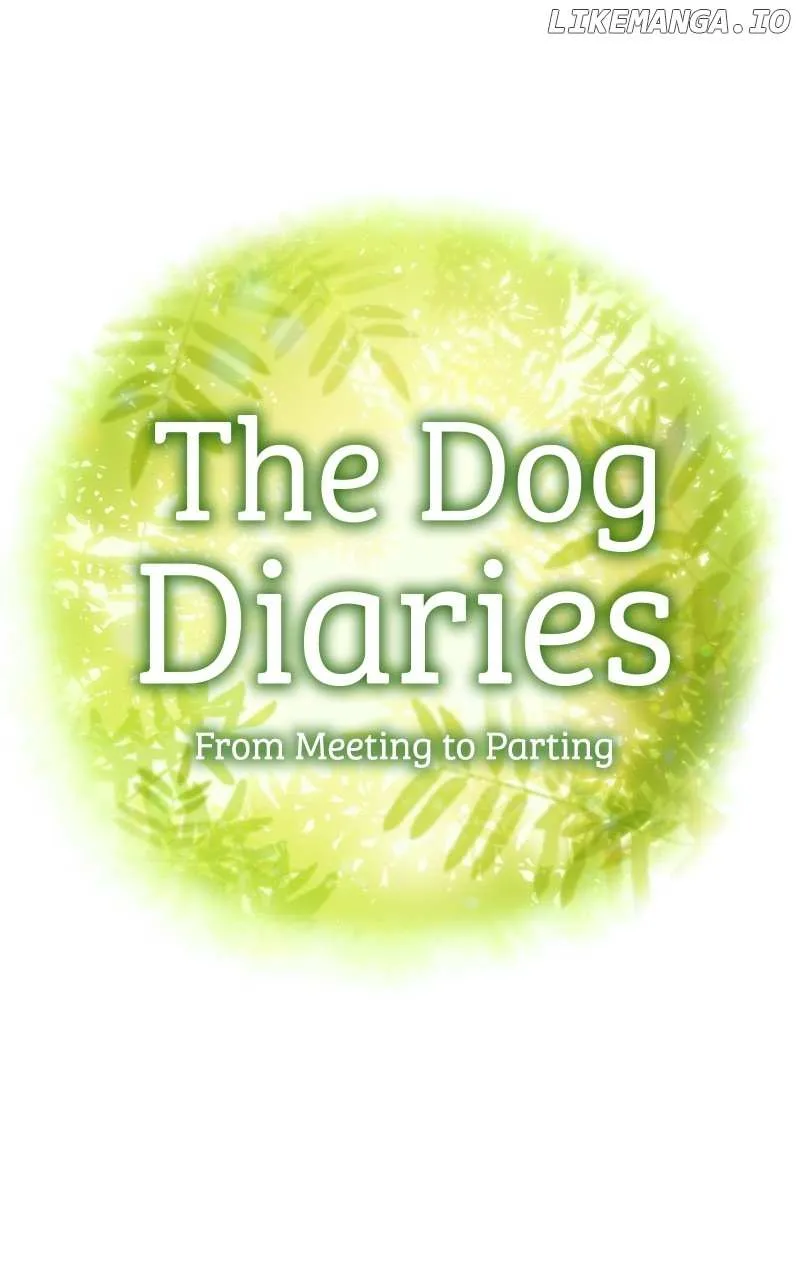 The Dog Diaries Zinmanga X Chapter 150 Page 2