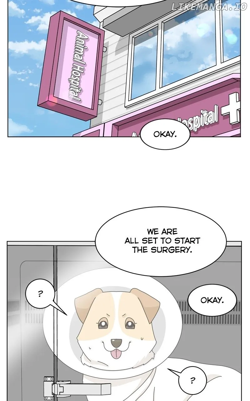 The Dog Diaries Zinmanga X Chapter 147 Page 3