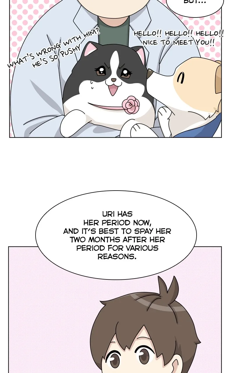 The Dog Diaries Zinmanga X Chapter 144 Page 49