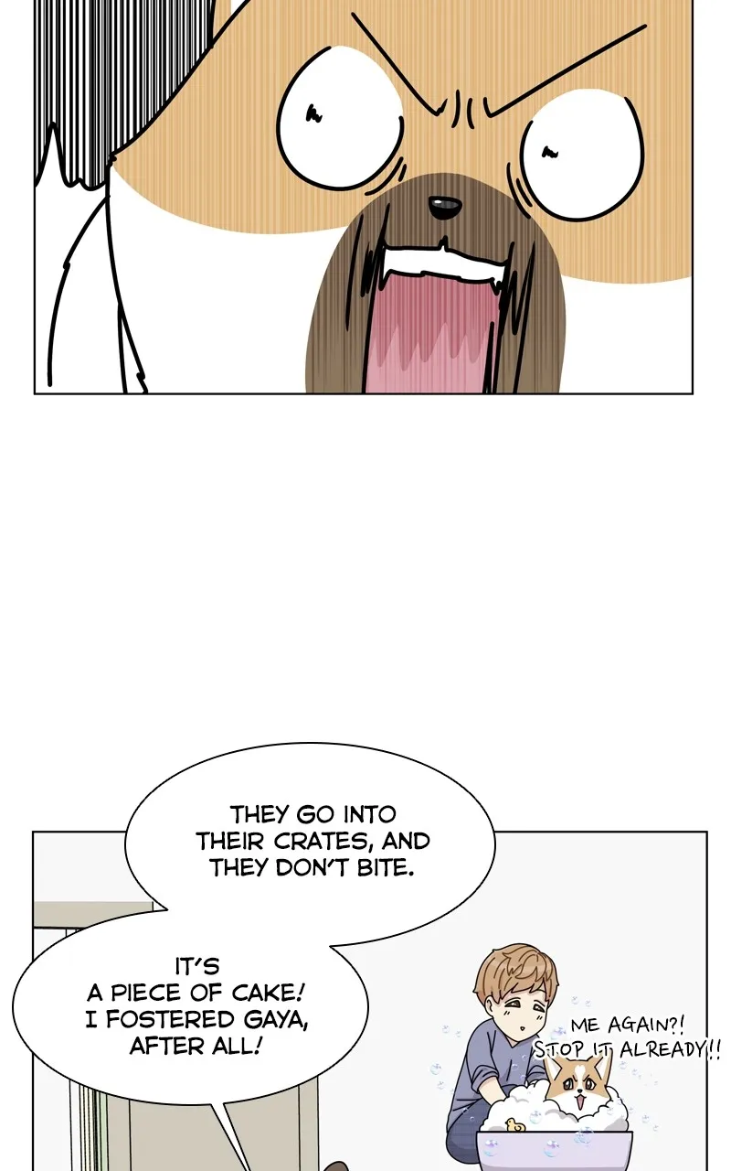 The Dog Diaries Zinmanga X Chapter 144 Page 59