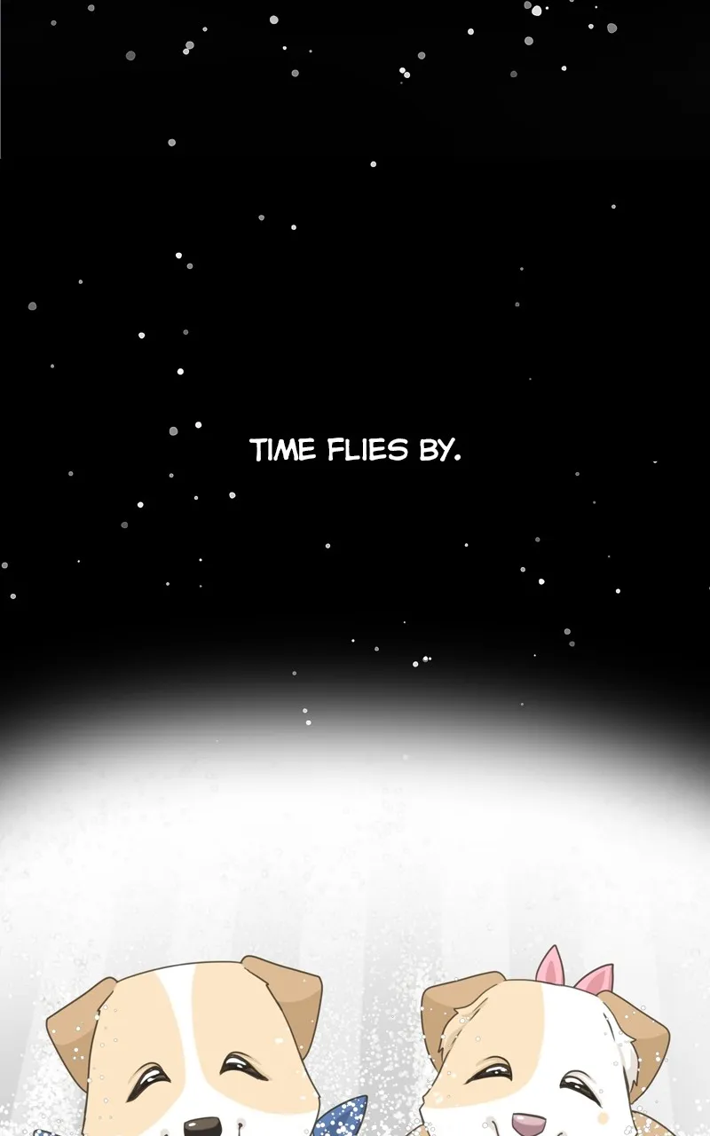The Dog Diaries Zinmanga X Chapter 144 Page 70