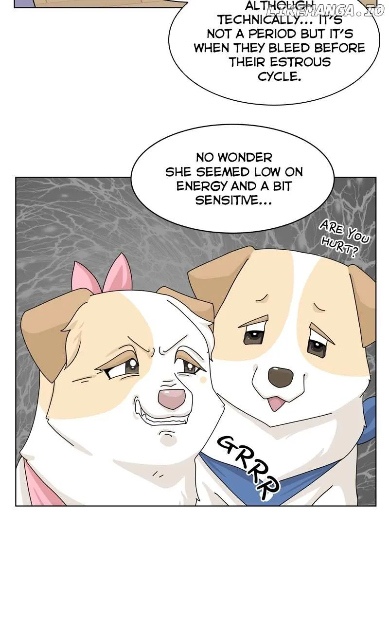 The Dog Diaries Zinmanga X Chapter 143 Page 32