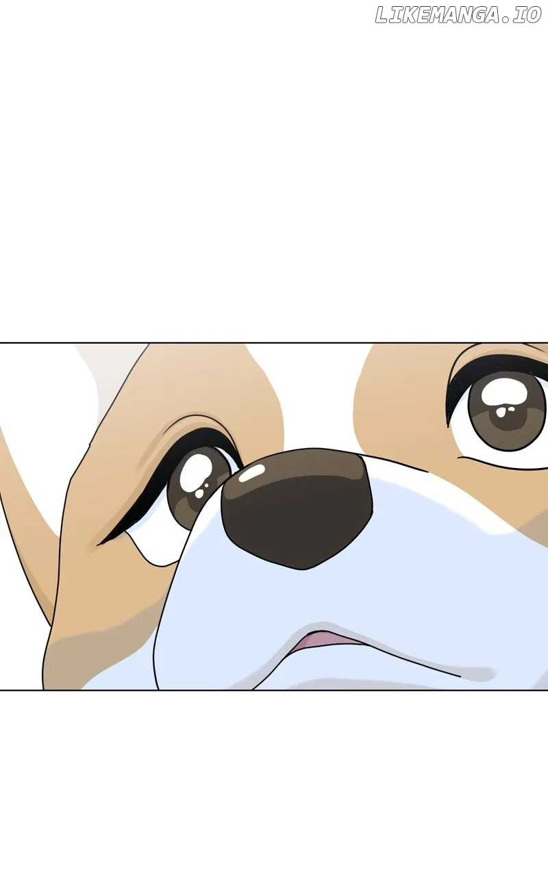 The Dog Diaries Zinmanga X Chapter 141 Page 76