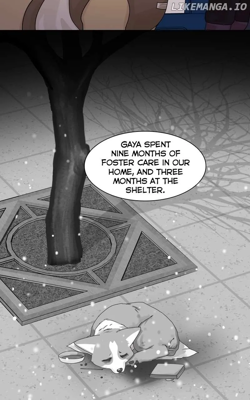 The Dog Diaries Zinmanga X Chapter 138 Page 15
