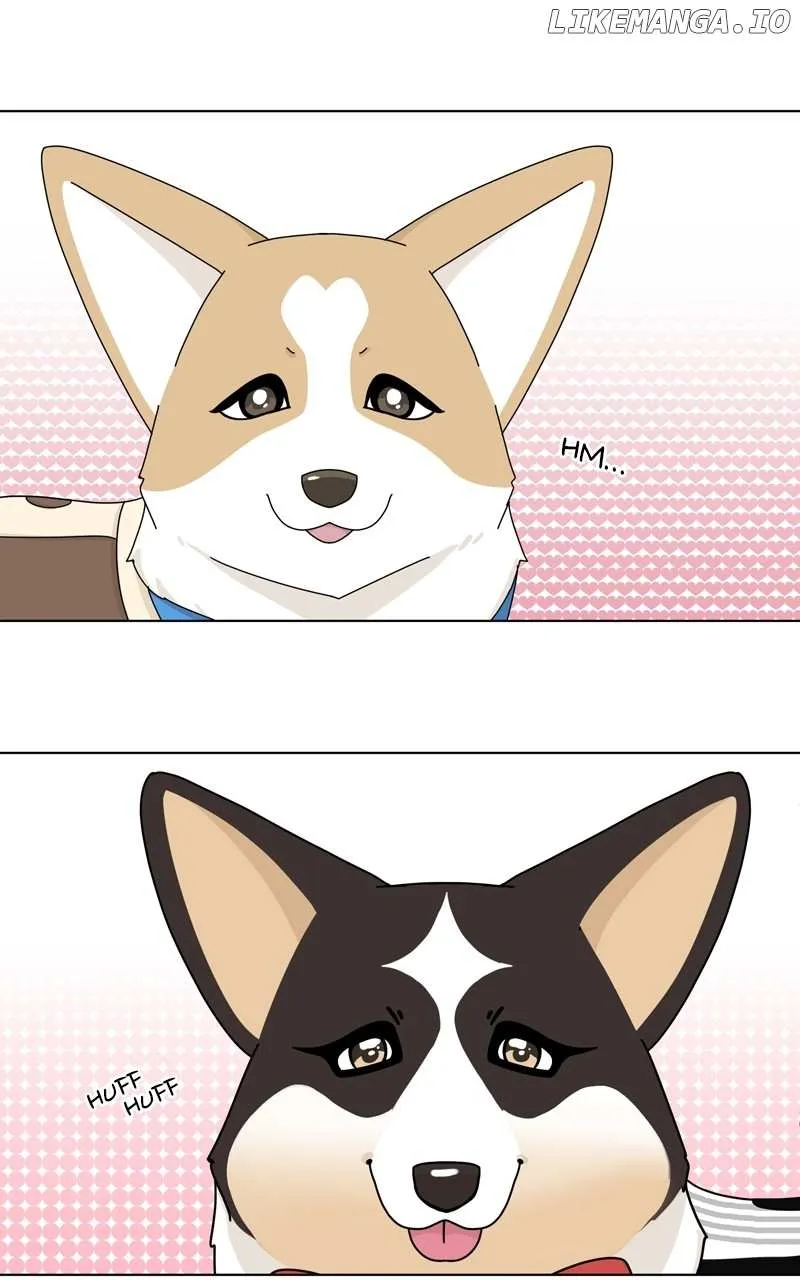 The Dog Diaries Zinmanga X Chapter 137 Page 2