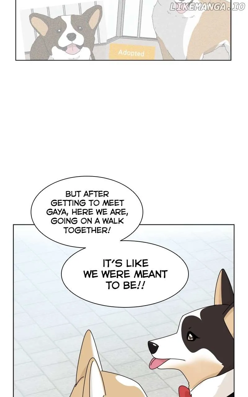The Dog Diaries Zinmanga X Chapter 137 Page 44