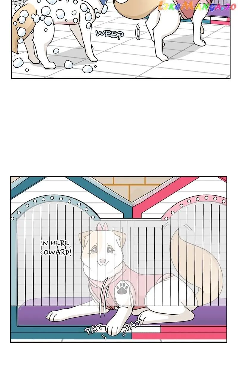 The Dog Diaries Zinmanga X Chapter 134 Page 49