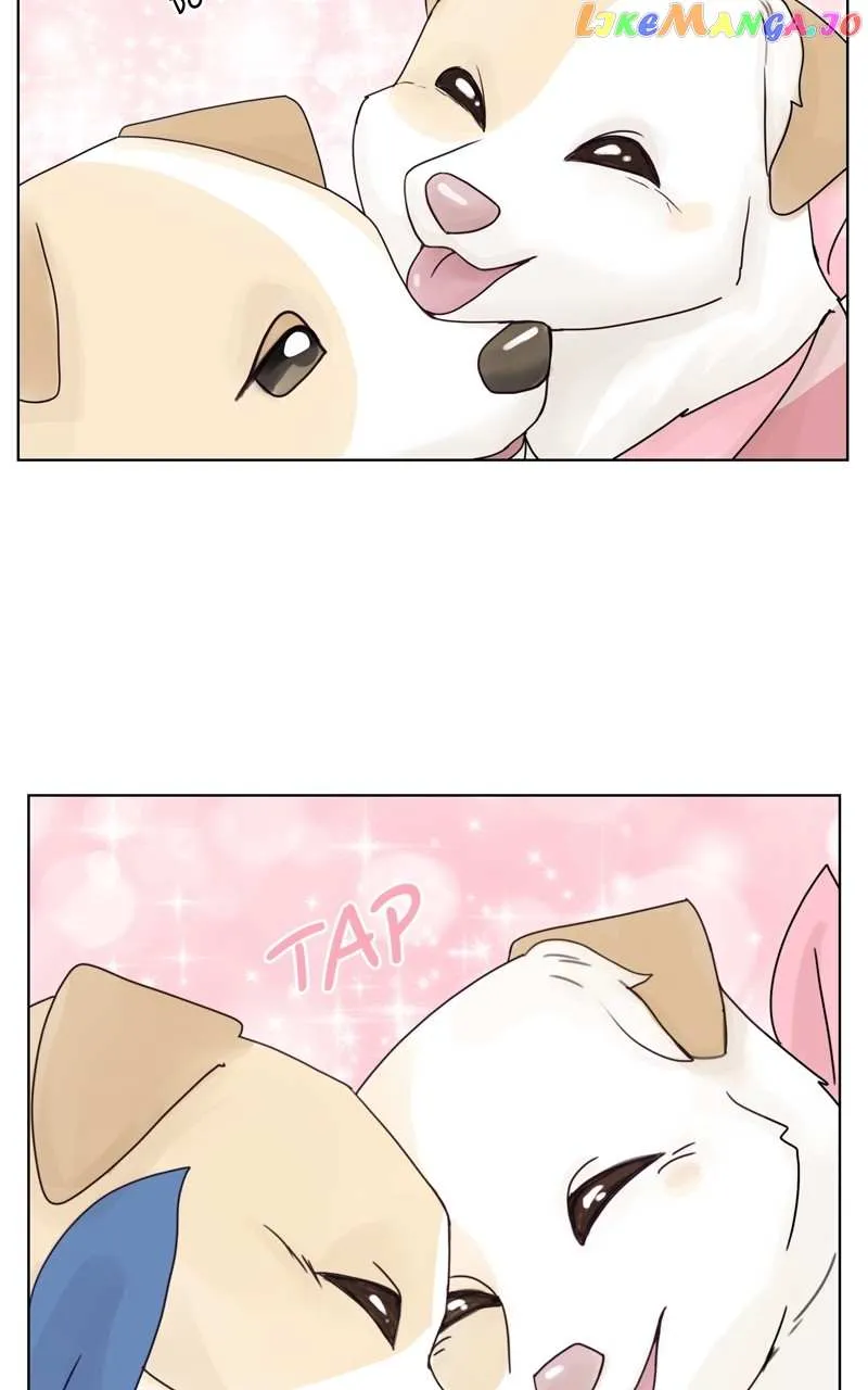 The Dog Diaries Zinmanga X Chapter 134 Page 51