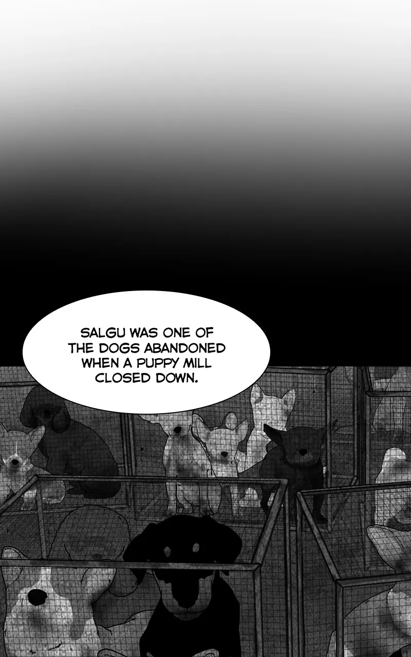 The Dog Diaries Zinmanga X Chapter 126 Page 24