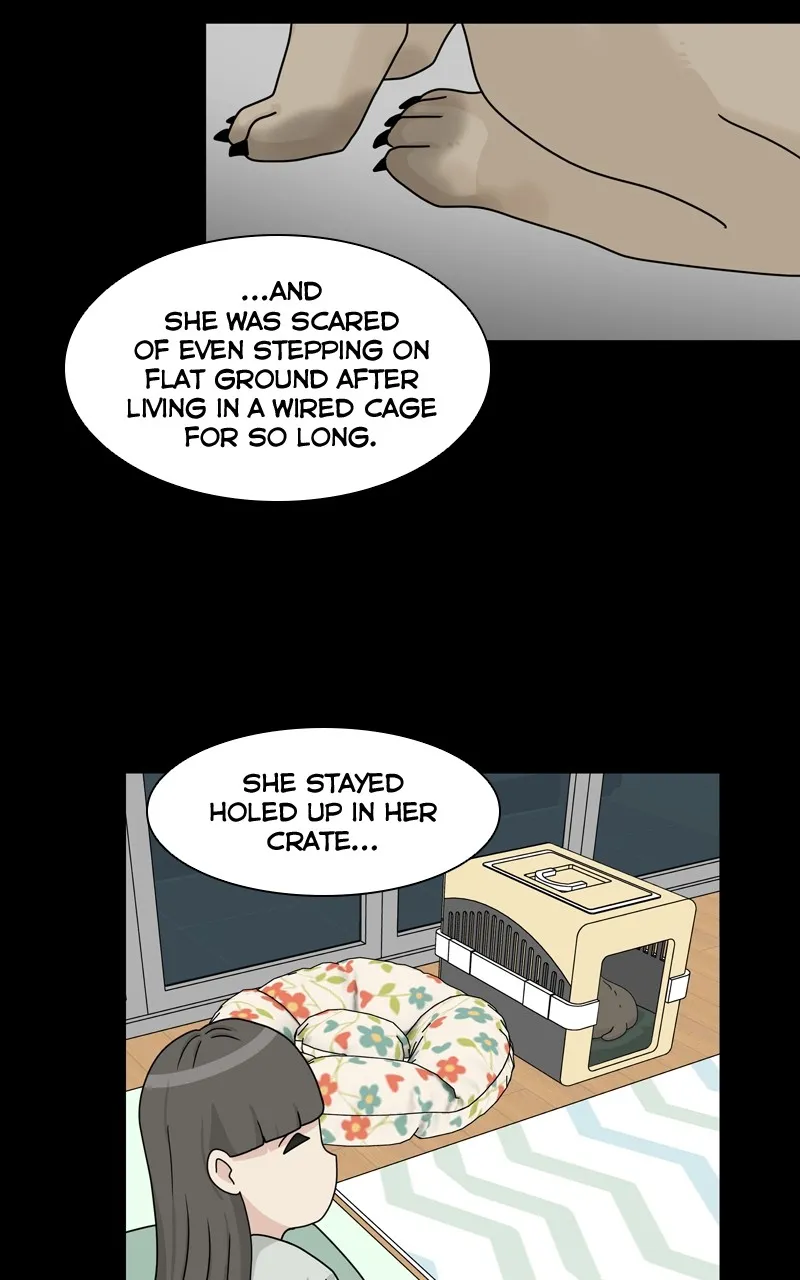 The Dog Diaries Zinmanga X Chapter 126 Page 27