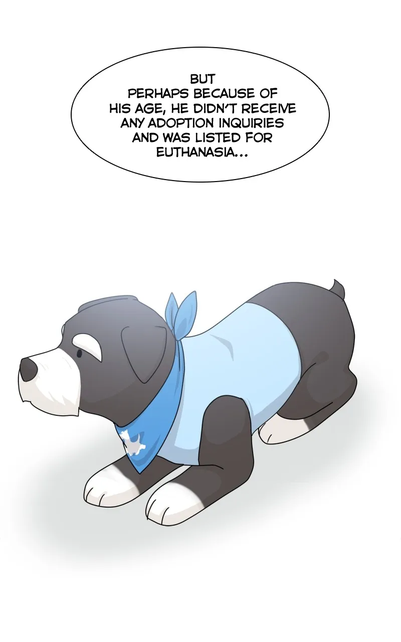 The Dog Diaries Zinmanga X Chapter 125 Page 27