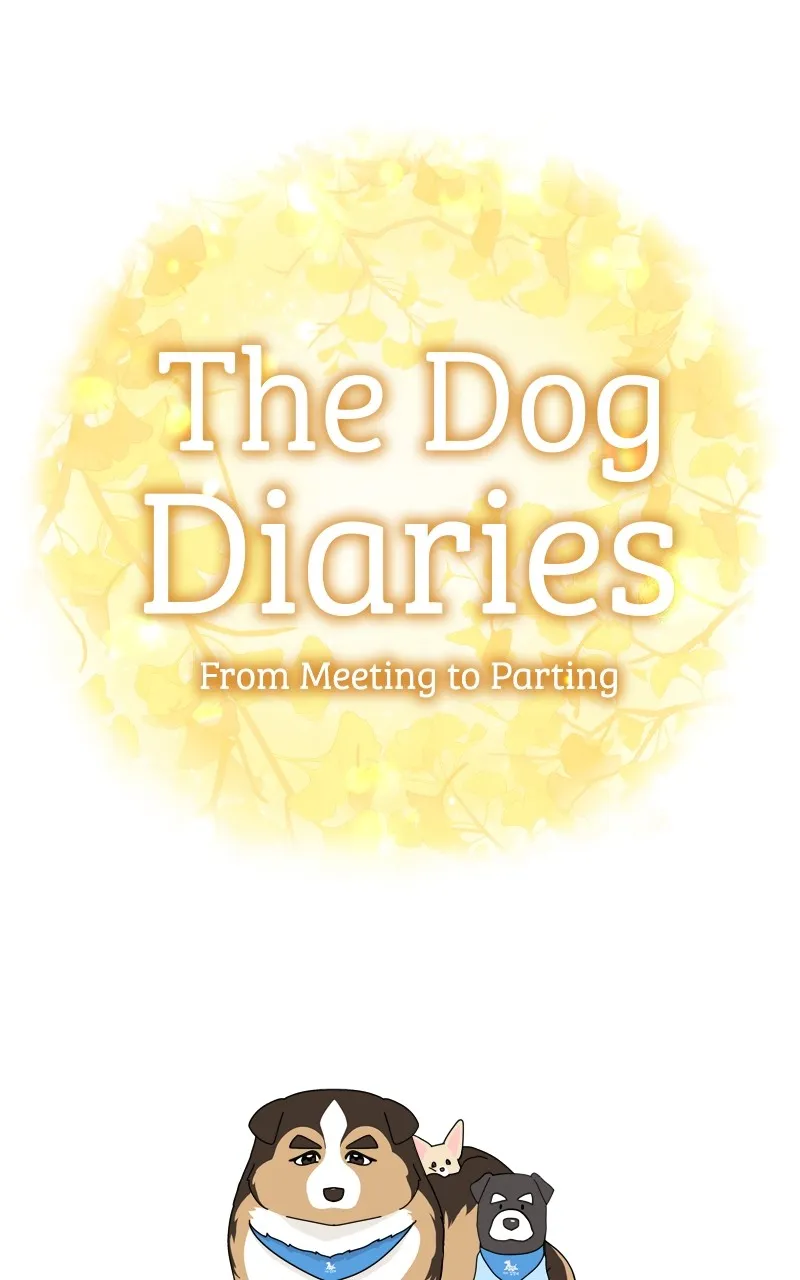 The Dog Diaries Zinmanga X Chapter 123 Page 85