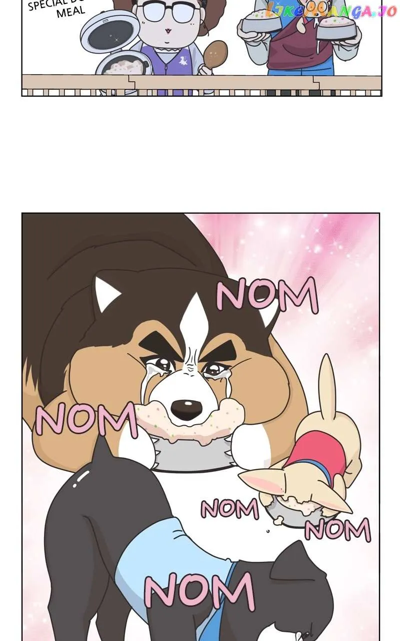 The Dog Diaries Zinmanga X Chapter 120 Page 49