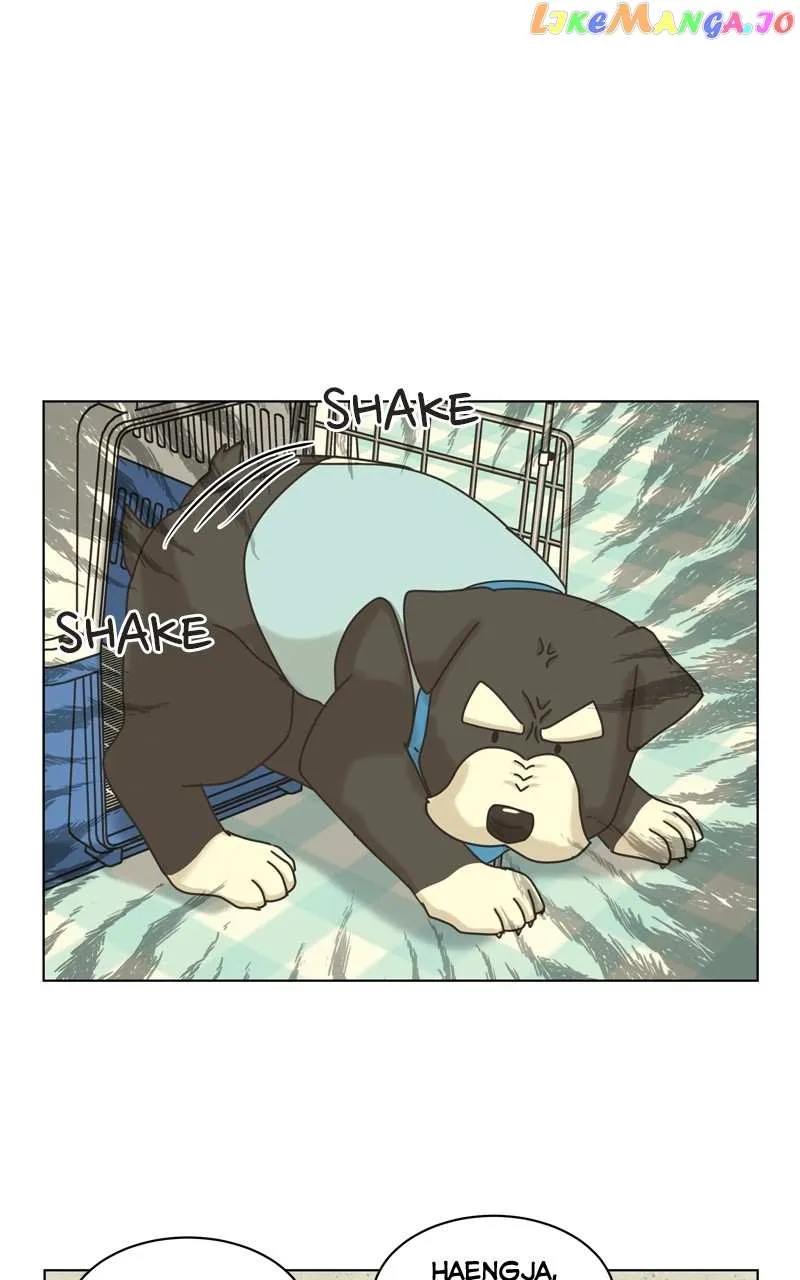 The Dog Diaries Zinmanga X Chapter 120 Page 71